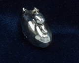 The Duck - Cazenovia Abroad