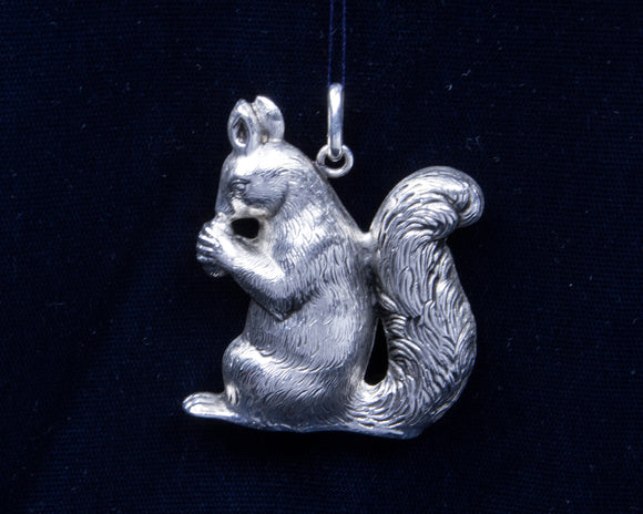 The Squirrel - Cazenovia Abroad