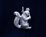 The Squirrel - Cazenovia Abroad