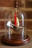 Ornament Dome - Cazenovia Abroad