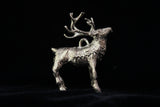Vixen the Reindeer - Cazenovia Abroad